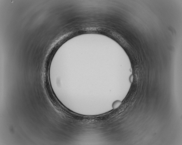 X0000112400728200909251435
