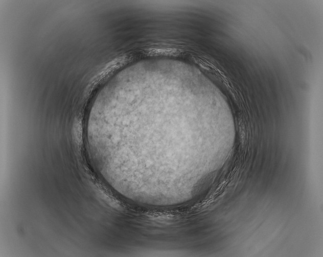 X0000112400729200909251435
