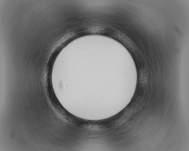 X0000112400730200909251435