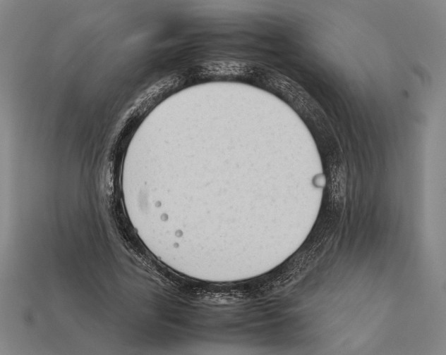 X0000112400731200909251435