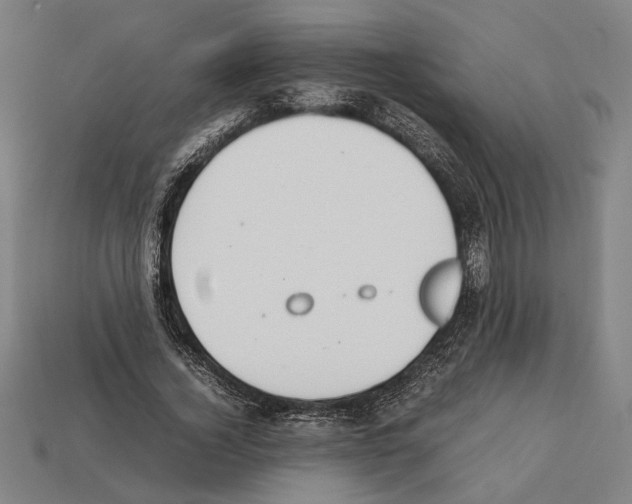 X0000112400732200909251435