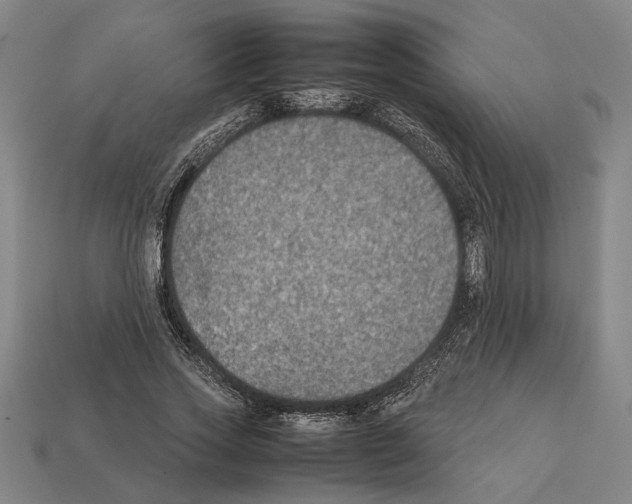 X0000112400733200909251435
