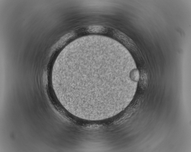 X0000112400734200909251435