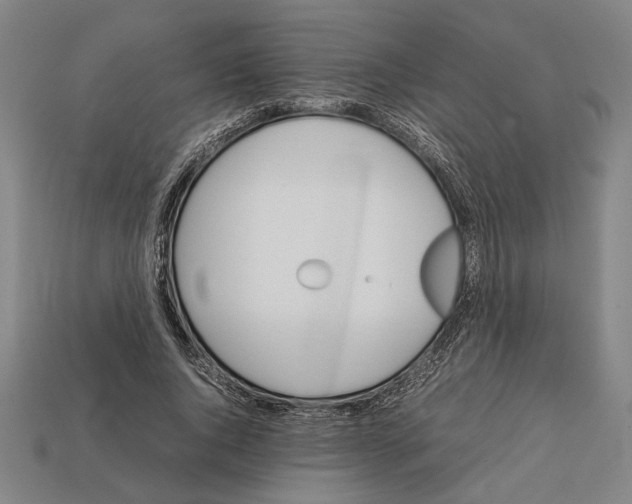 X0000112400736200909251435