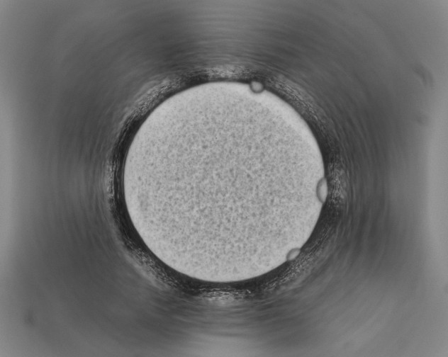 X0000112400738200909251435