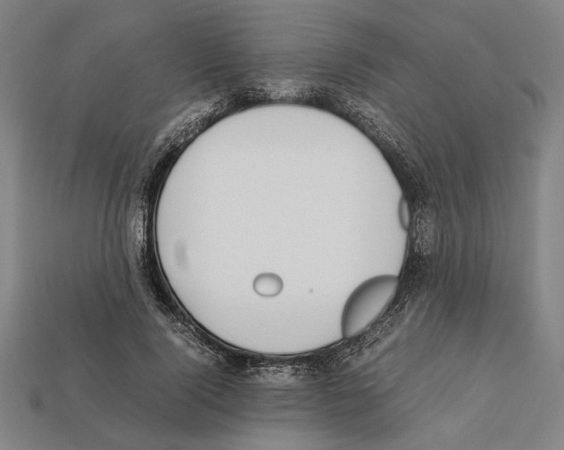 X0000112400740200909251435