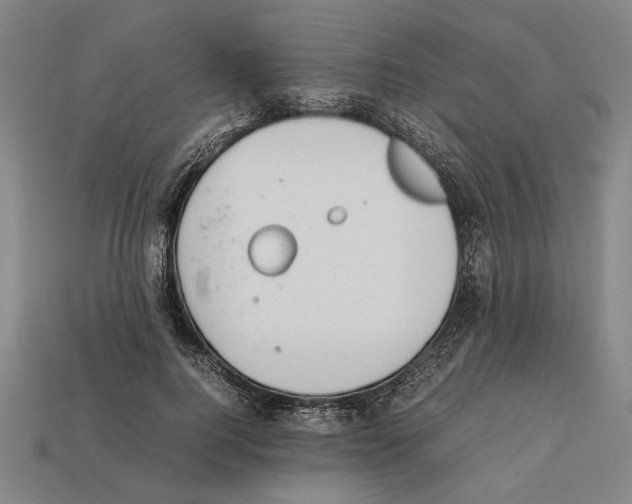 X0000112400744200909251435