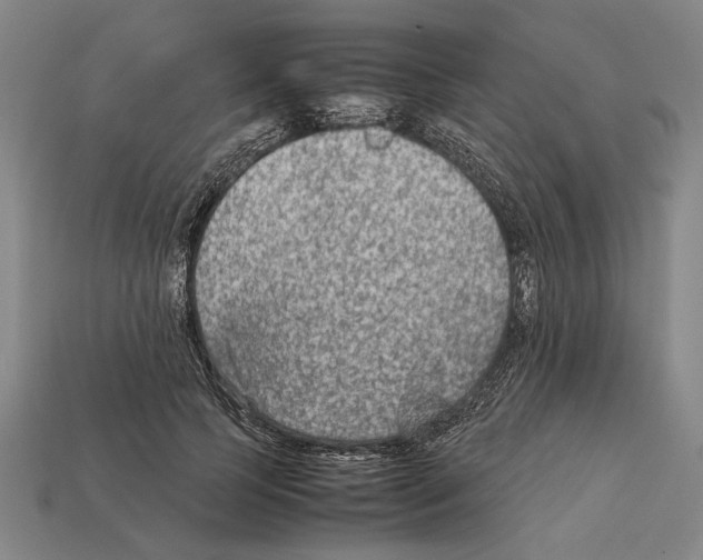 X0000112400745200909251435