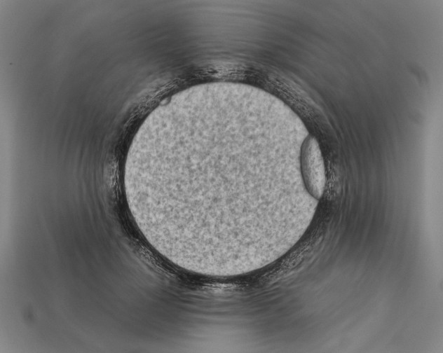 X0000112400748200909251435