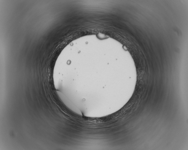 X0000112400752200909251435