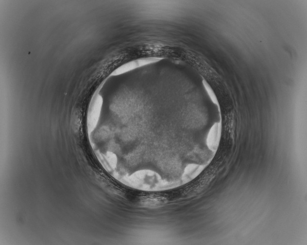 X0000112400754200909251435