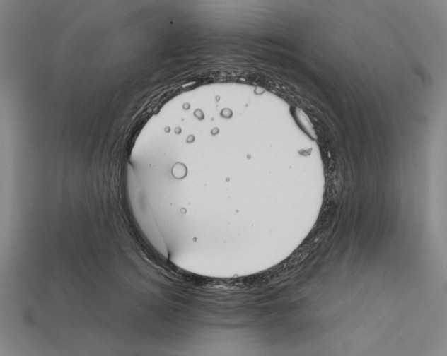 X0000112400756200909251435