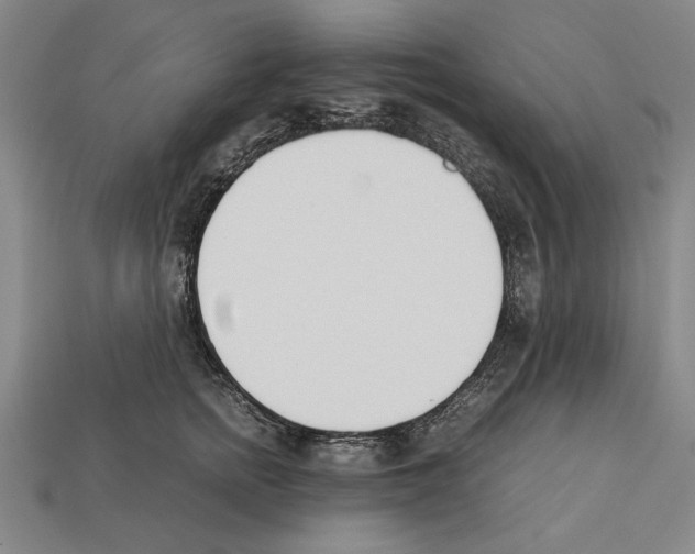 X0000112400758200909251435