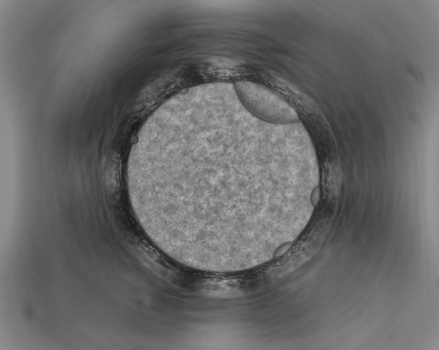 X0000112400760200909251435