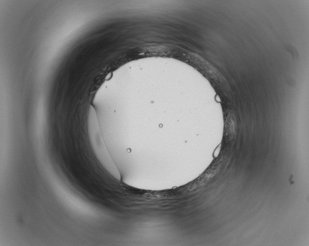 X0000112400764200909251435