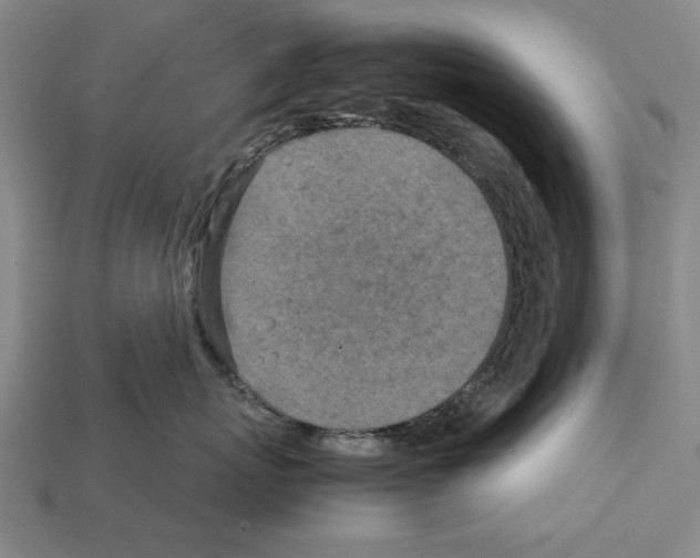 X0000112400767200909251436