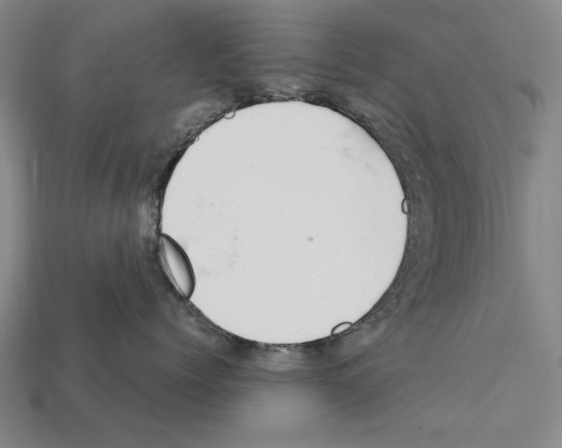 X0000112400768200909251436