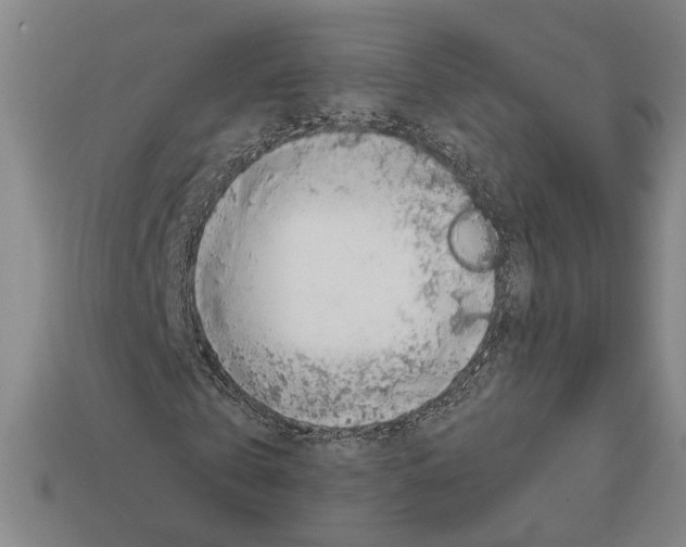 X0000112400769200909251435