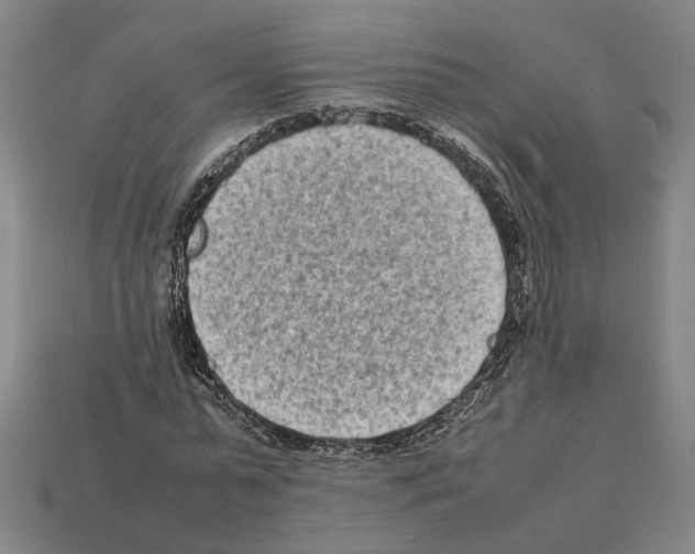 X0000112400775200909251435