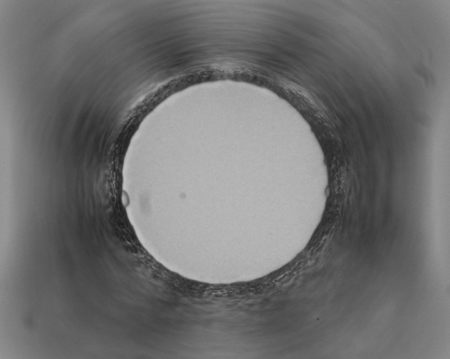 X0000112400776200909251435