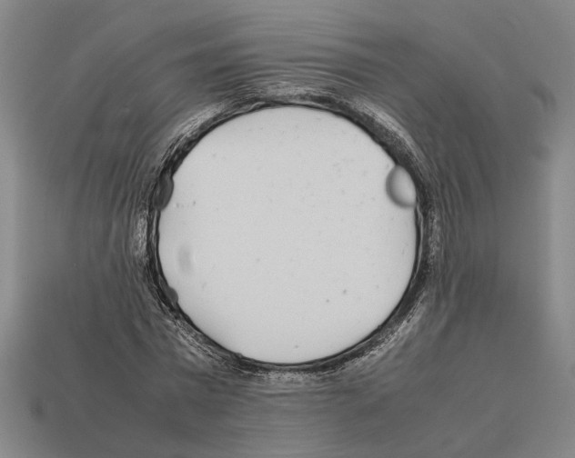 X0000112400777200909251435