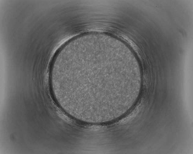X0000112400779200909251435