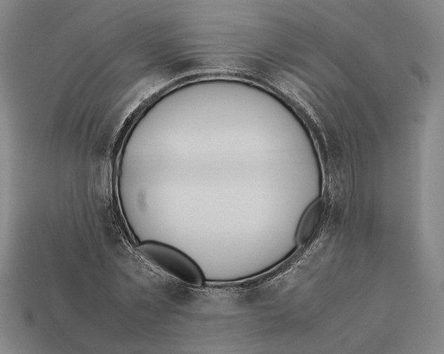 X0000112400781200909251435