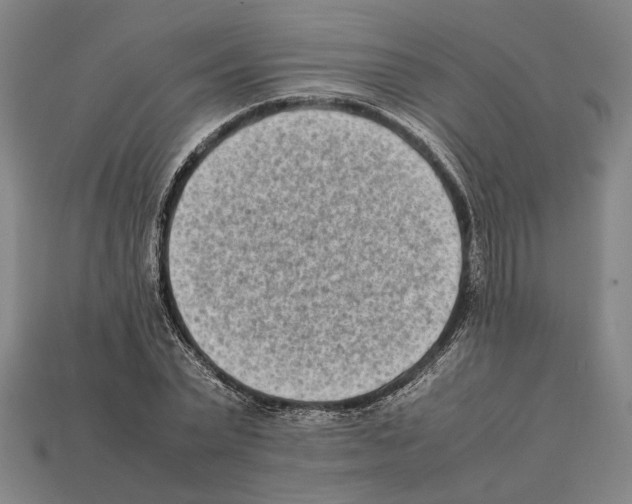 X0000112400783200909251435