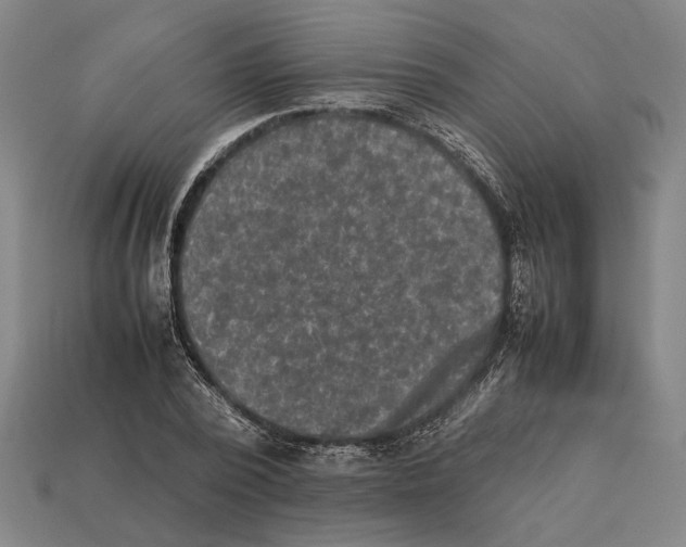 X0000112400784200909251435