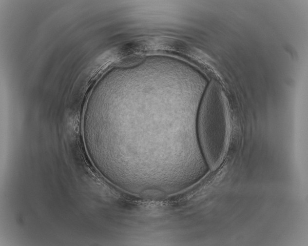 X0000112400785200909251435