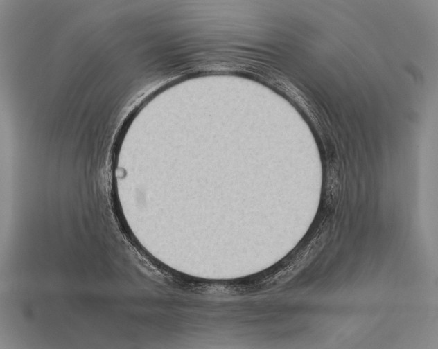 X0000112400787200909251435