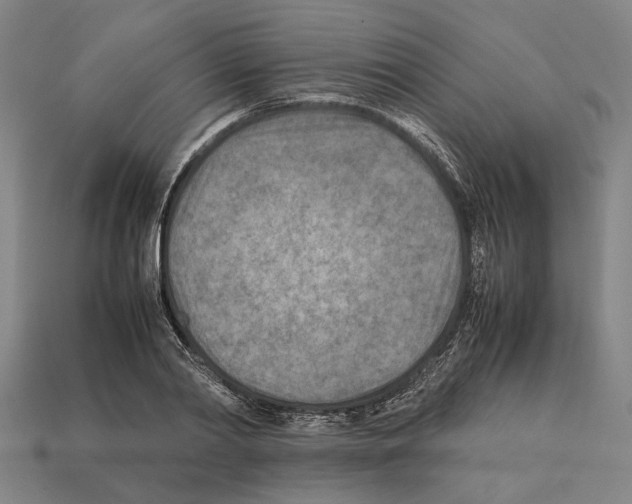 X0000112400790200909251435