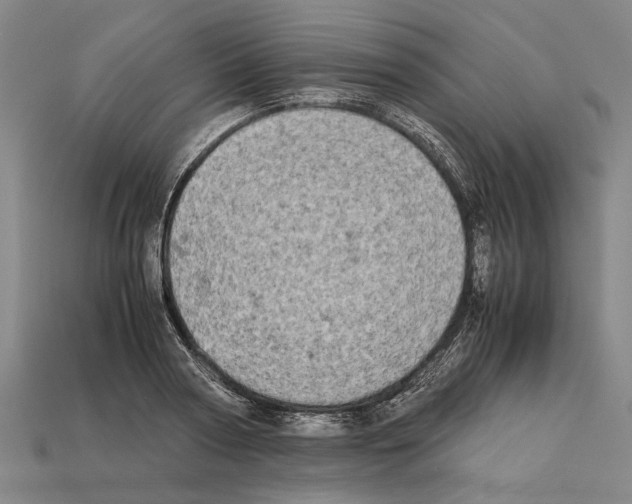 X0000112400794200909251435