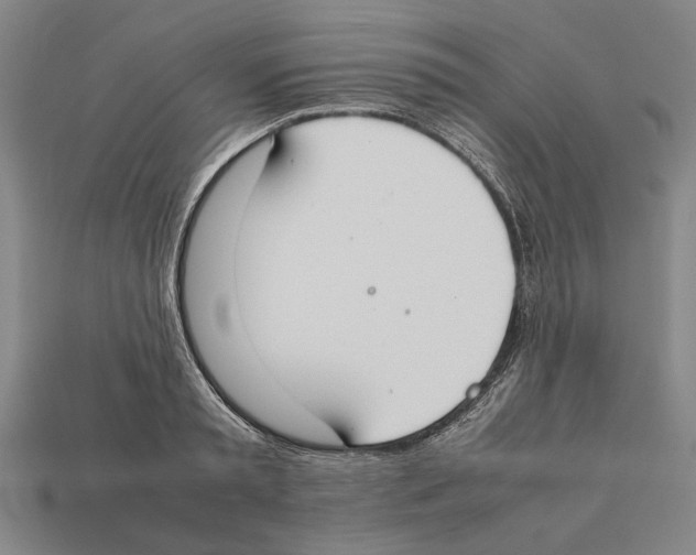X0000112400797200909251435