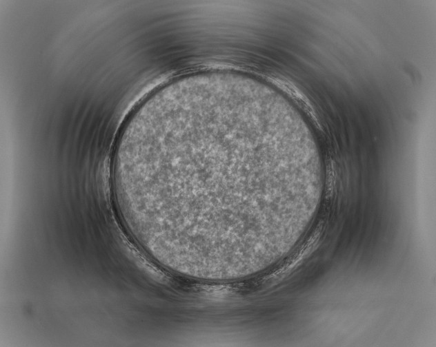 X0000112400798200909251435