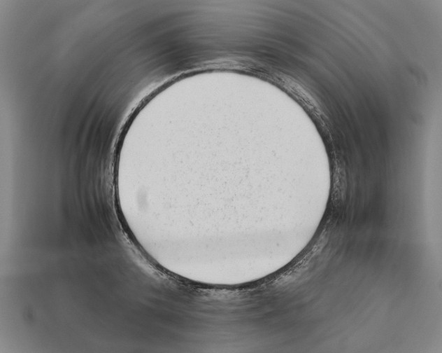 X0000112400800200909251435