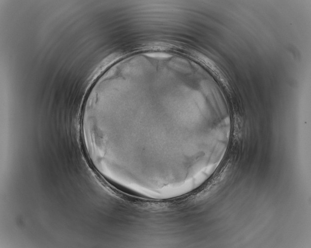 X0000112400802200909251434