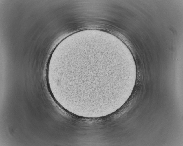 X0000112400803200909251434