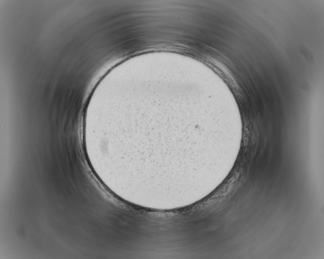 X0000112400804200909251434