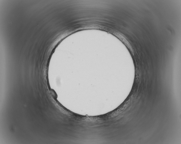 X0000112400805200909251434