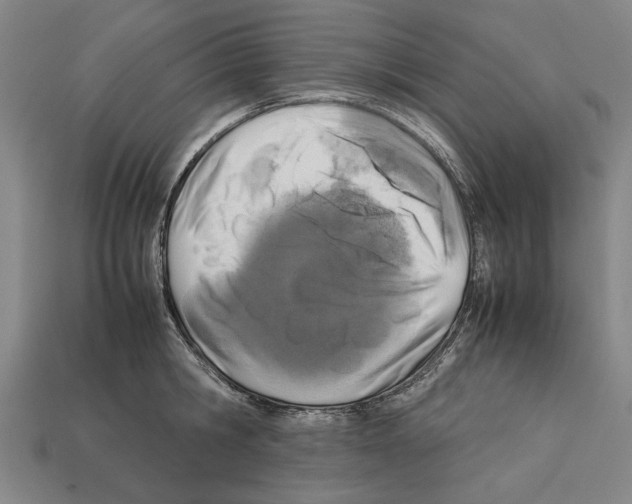 X0000112400806200909251434