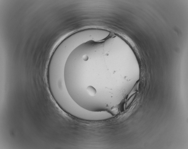 X0000112400807200909251434