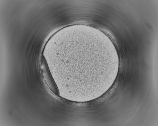 X0000112400808200909251434