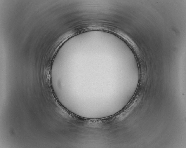 X0000112400809200909251434