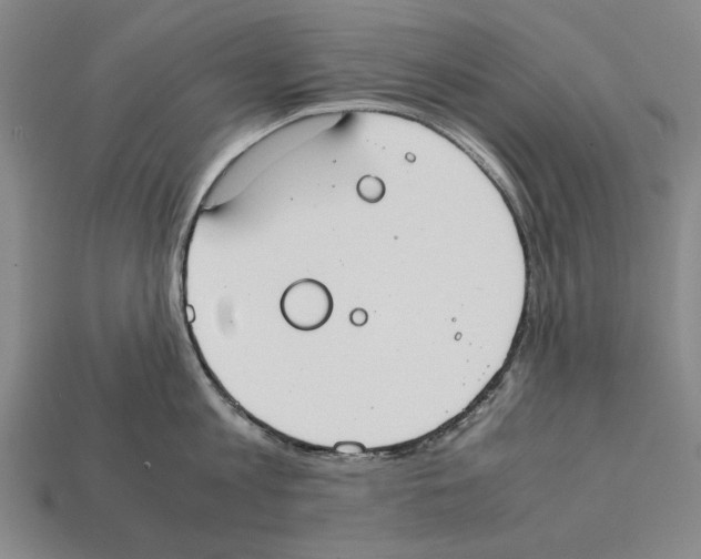 X0000112400813200909251434