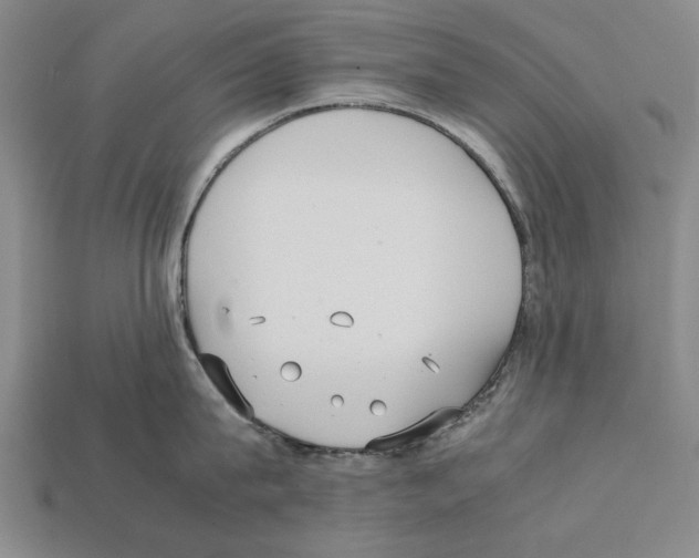 X0000112400815200909251434