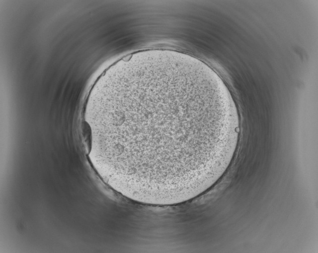 X0000112400816200909251434