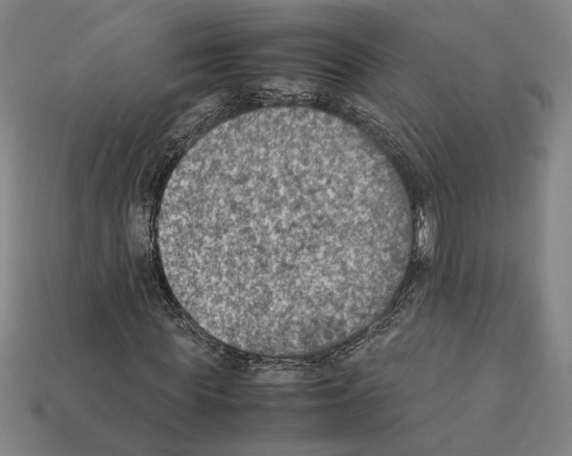 X0000112400819200909251434