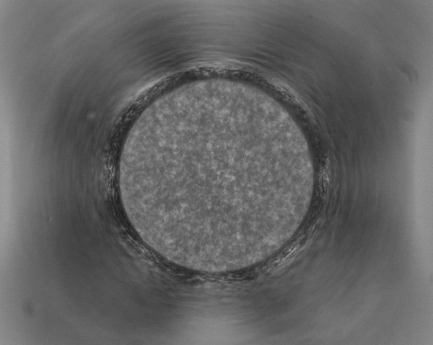 X0000112400822200909251434