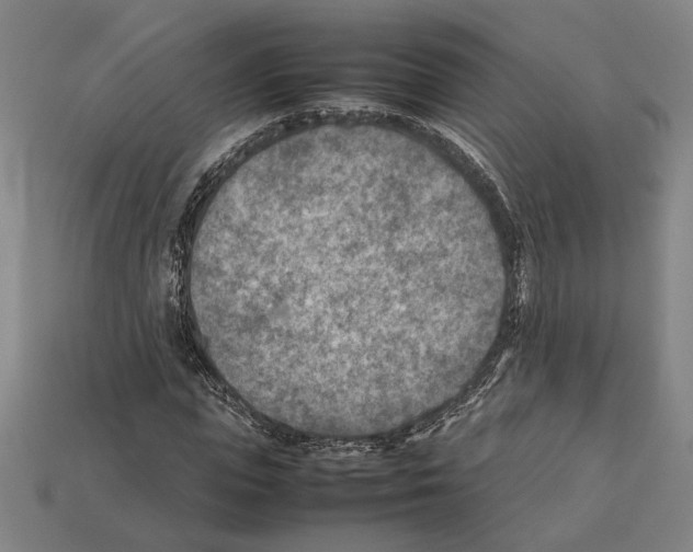 X0000112400823200909251434